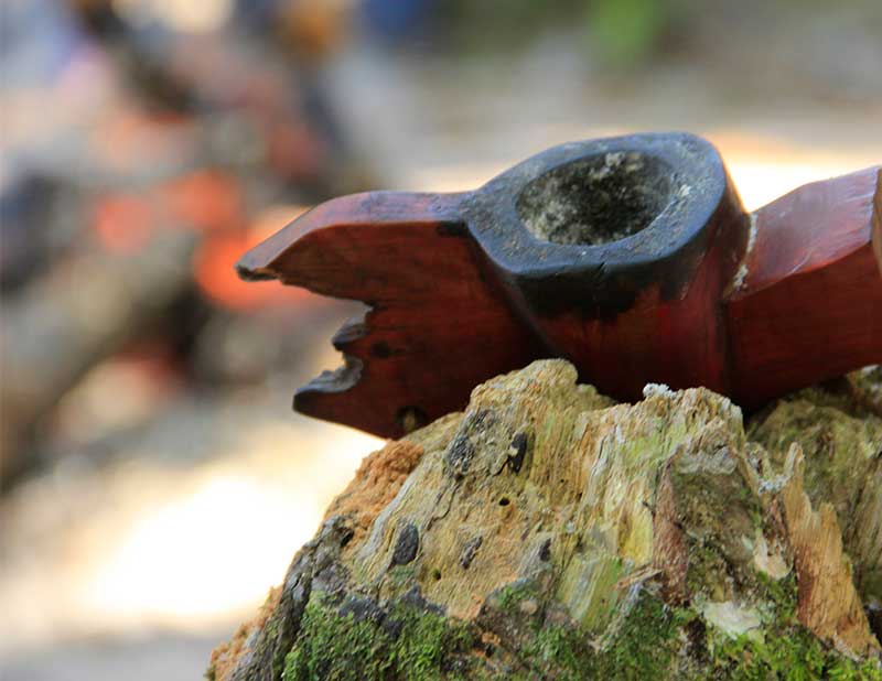 notícia VIVÊNCIA NA ALDEIA CULTURA INDÍGENA EM SÃO PAULO