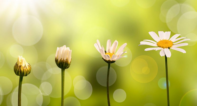 notícia PALAVRA DE HOJE