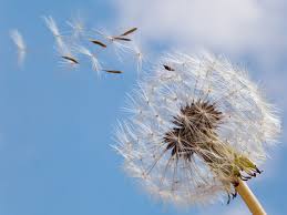 notícia PALAVRA DE HOJE - www.palavradehoje.net