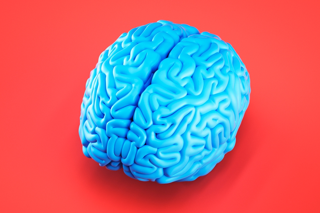 notícia O homem possui duas inteligências e uma superior!