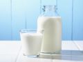 notícia Qual a diferença entre lactose e caseína?