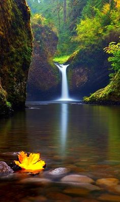 notícia PALAVRA DE HOJE - www.palavradehoje.net