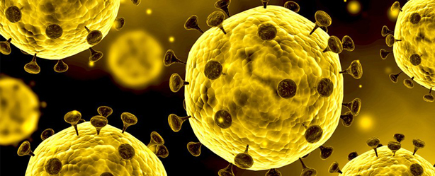 notícia Coronavírus - Principais perguntas sobre o novo vírus.