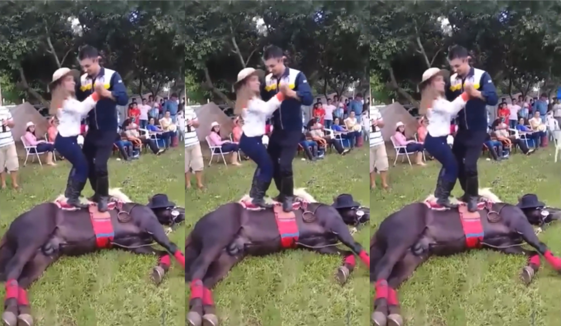 notícia EM NOME DA TRADIÇÃO