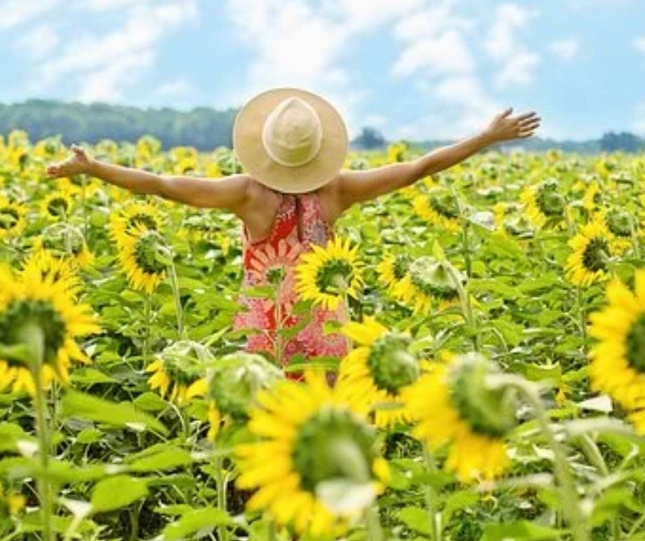 notícia Pílulas do Otimismo