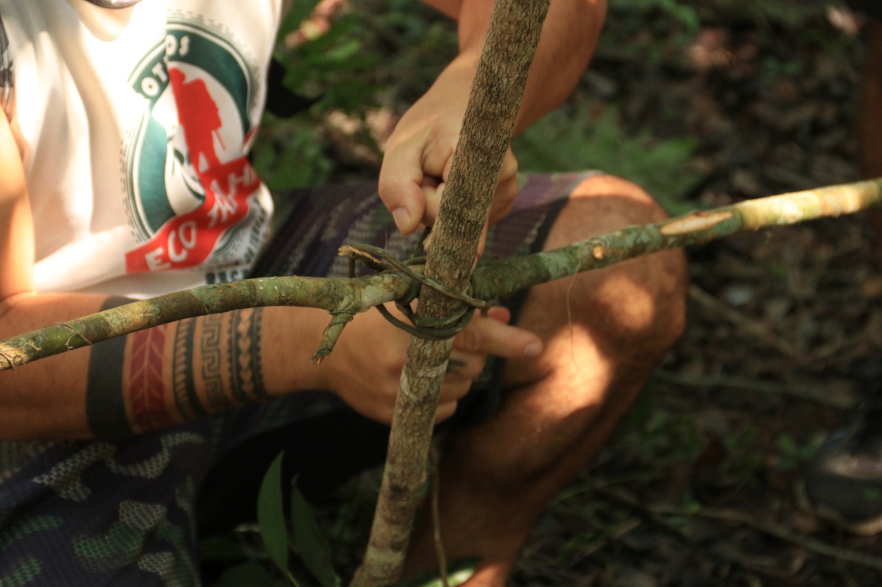 notícia Curso on-line Sobrevivência na selva