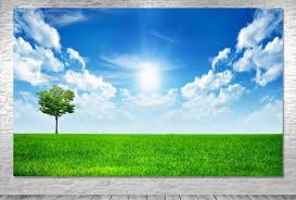 notícia PALAVRA DE HOJE - www.palavradehoje.net