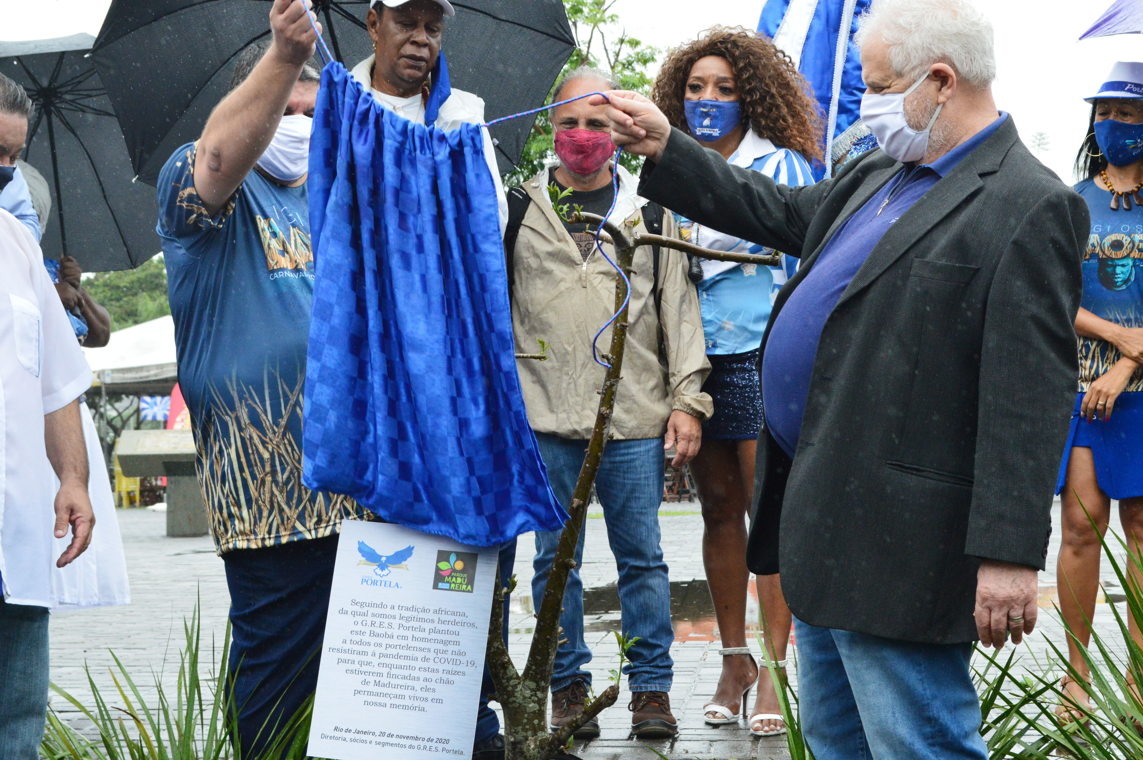 notícia Símbolo da força, Portela planta árvore de Baobá no Parque de Madureira