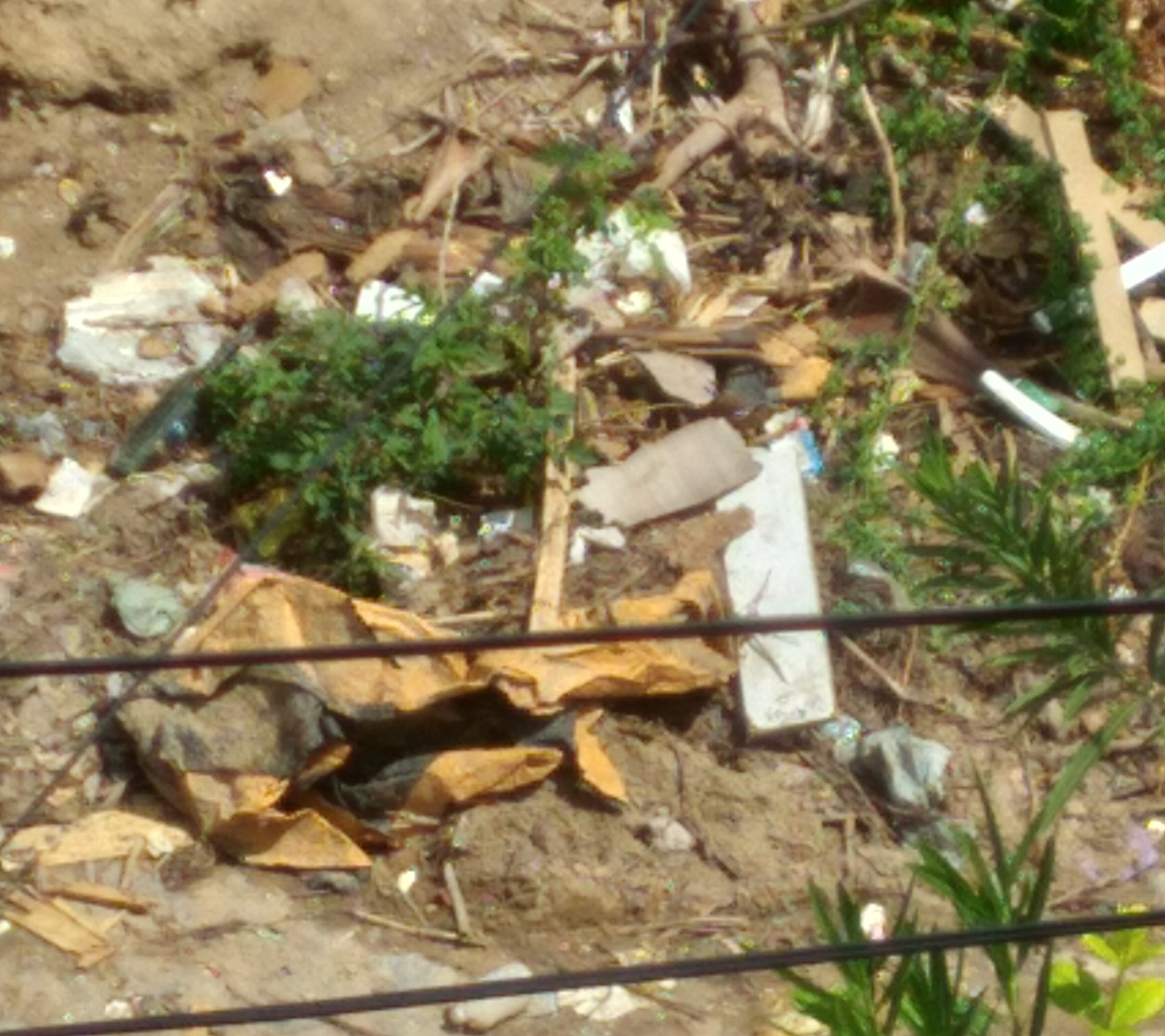 notícia ONDE FOI QUE NOS PERDEMOS?