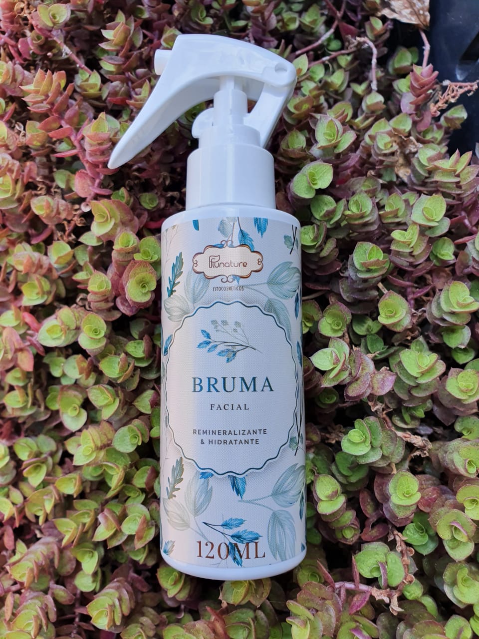 notícia Cuidados com a pele: Bruma facial Piunature