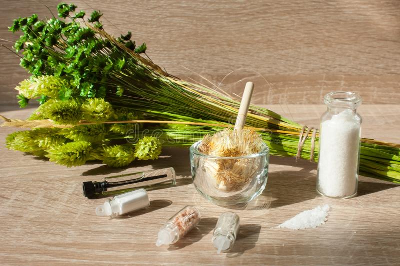 notícia A natureza ainda mais perto de nós