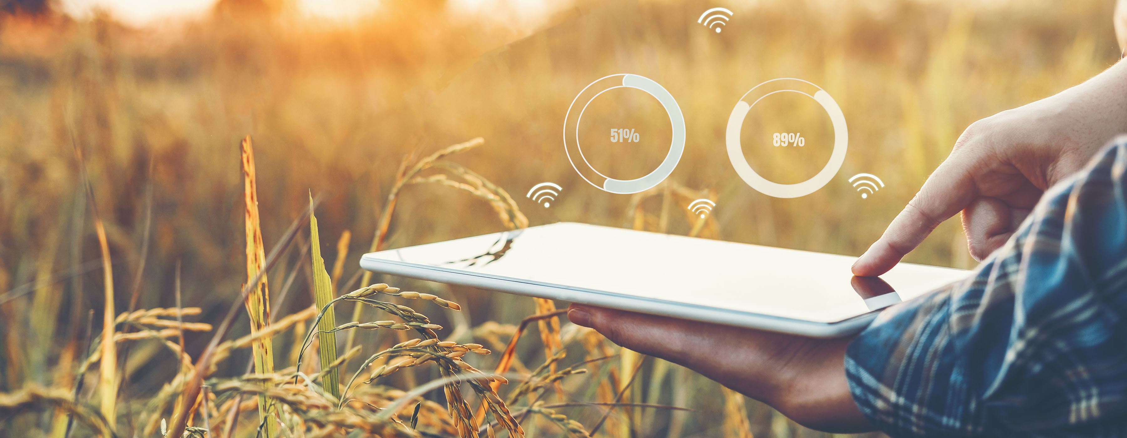 notícia Ações recentes do OFAC fazem com que as empresas que fazem negócios na Internet considerem o due diligence de geolocalização por endereço IP