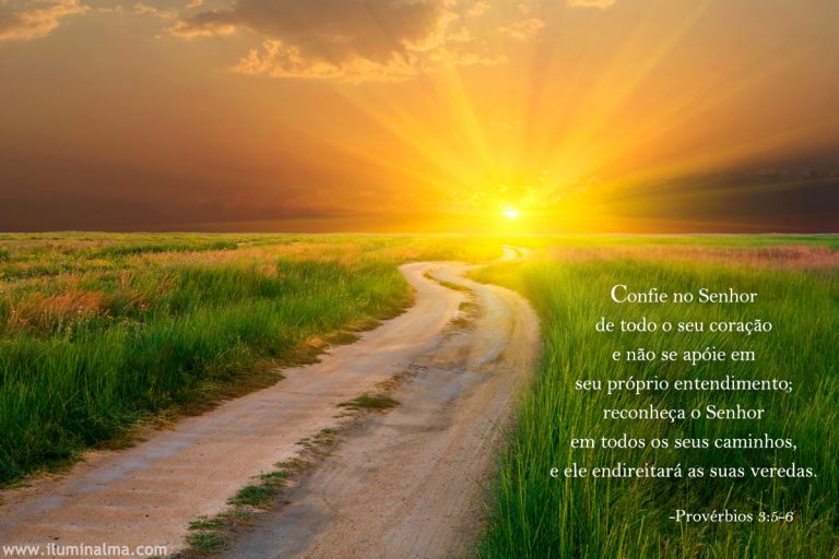 notícia PALAVRA DE HOJE - www.palavradehoje.net