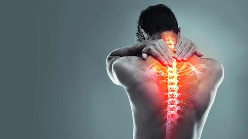 notícia Dor na coluna: fique atento aos sinais