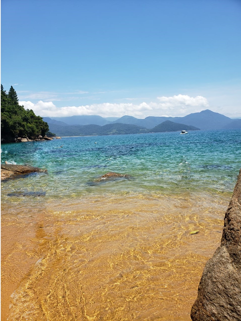 notícia PALAVRA DE HOJE