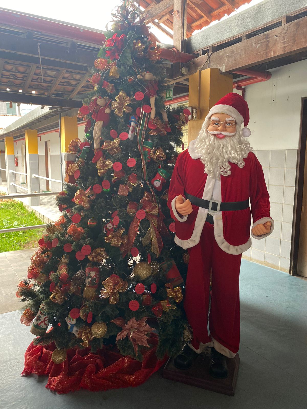 notícia SOLIDARIEDADE: Árvore de Natal da Casa dos Pobres São Francisco de Assis