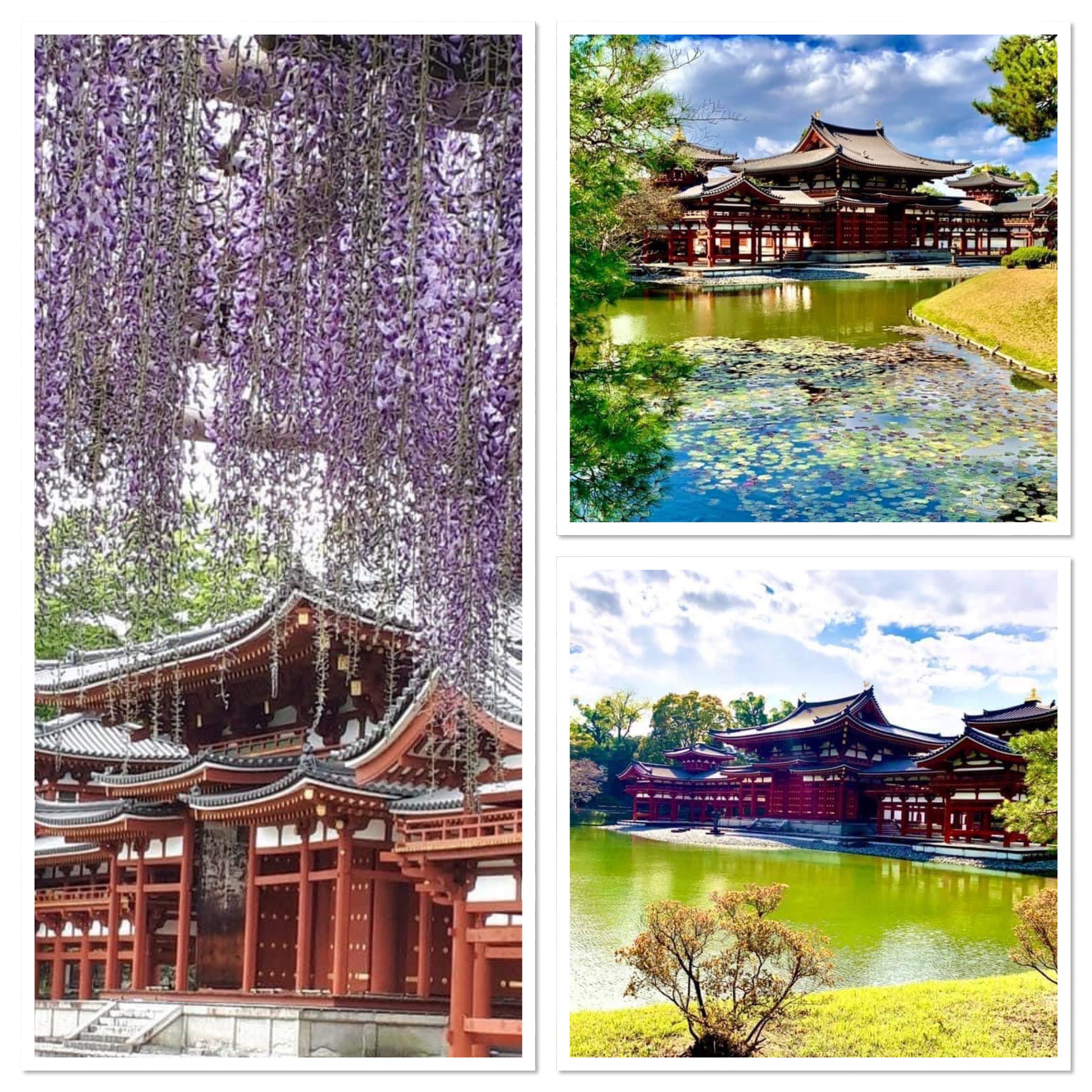 notícia Templo Byodoin 