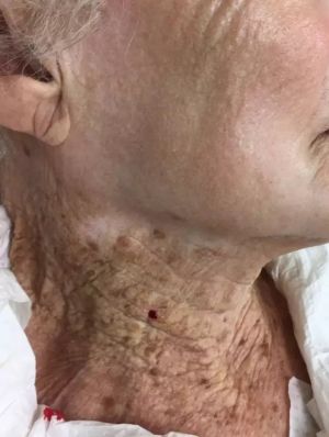 notícia Seus cuidados acabam no rosto?