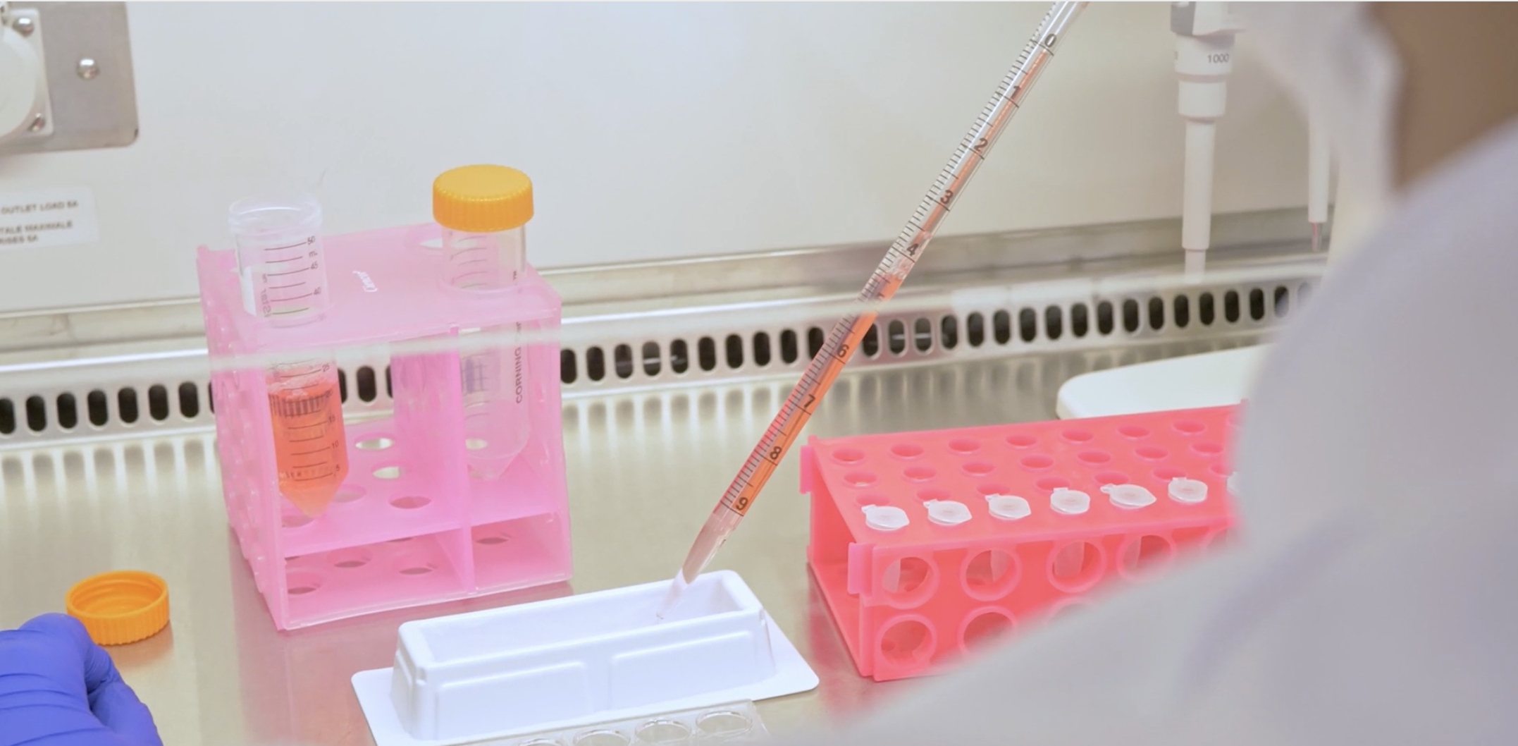 notícia O que são PDOs?