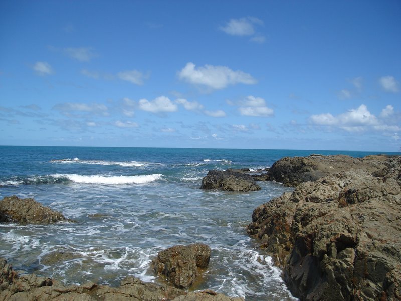 notícia EM CORAÇÕES HUMANOS