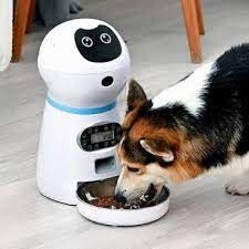 notícia Inovação para o cuidado dos animais de estimação