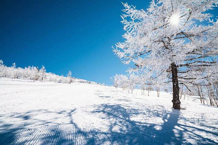 notícia Palavra de hoje por Ricardo Terada