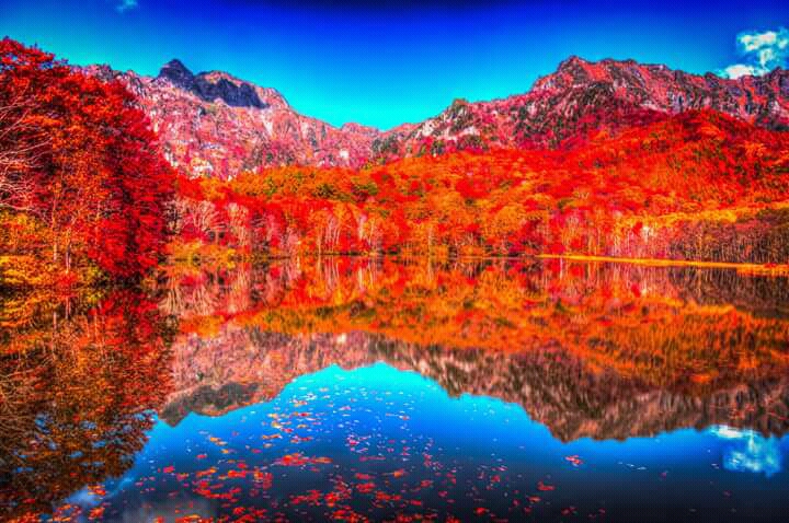 notícia Palavra de hoje por Ricardo Terada