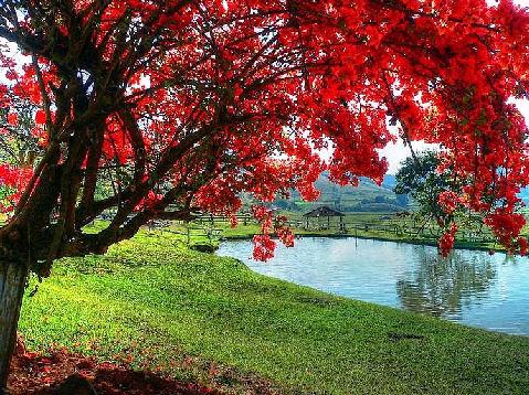 notícia Palavra de hoje por Ricardo Terada