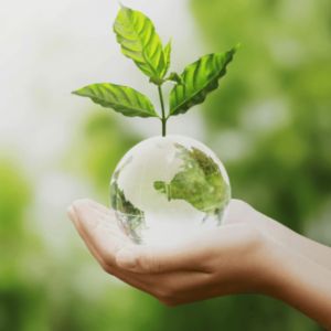 notícia Inovação verde em ação