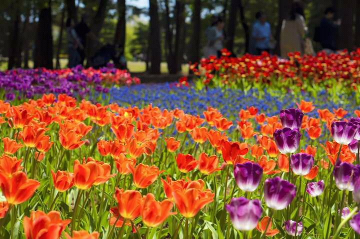 notícia Palavra de hoje por Ricardo Terada