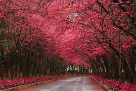 notícia Palavra de hoje por Ricardo Terada