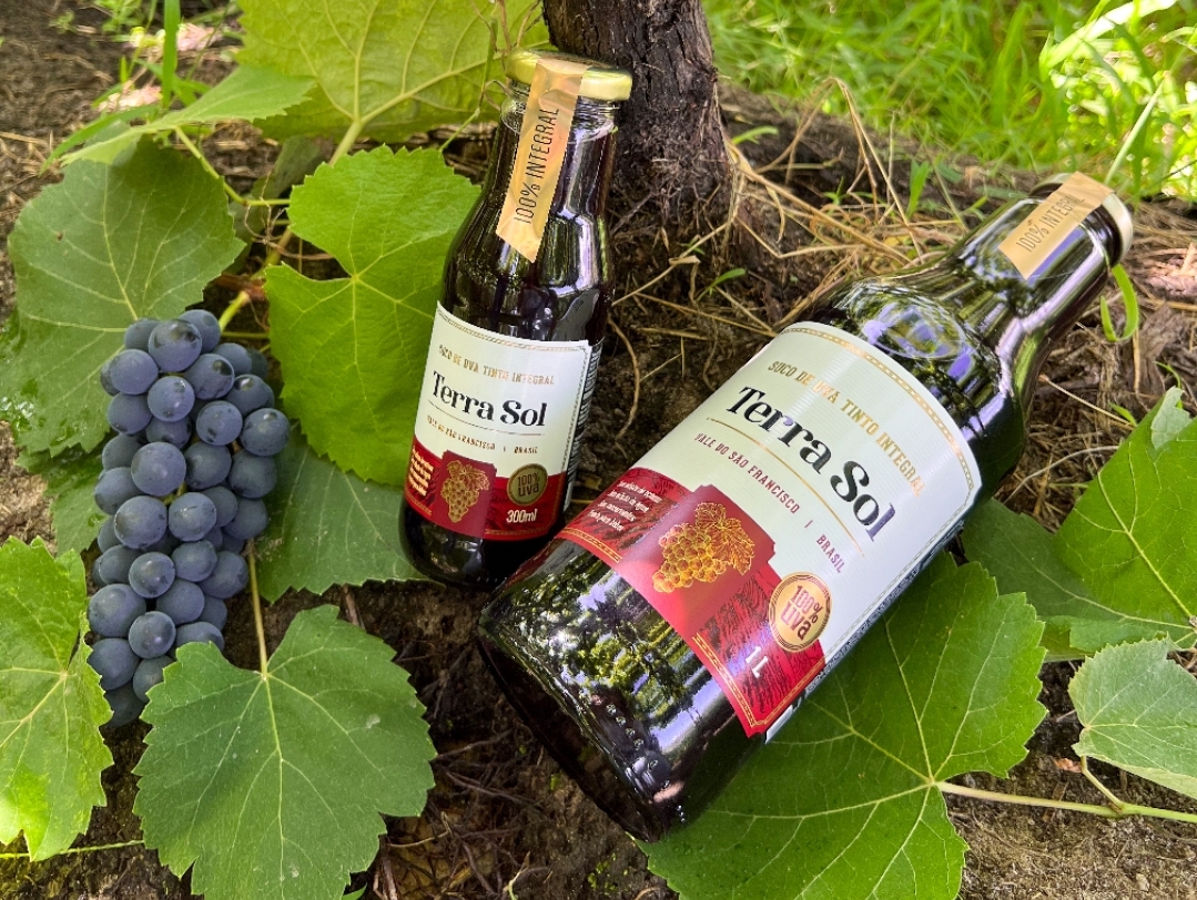 notícia Conheça 7 benefícios do Terra Sol, suco de uva integral fabricado no Vale do São Francisco