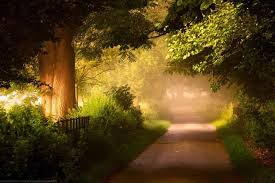 notícia Palavra de hoje por Ricardo Terada