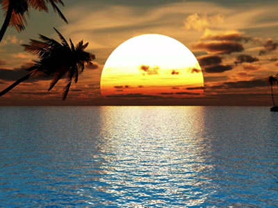 notícia Palavra de hoje por Ricardo Terada