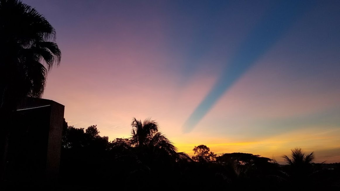 notícia Palavra de hoje por Ricardo Terada