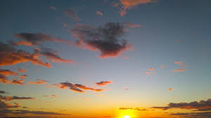 notícia Palavra de hoje por Ricardo Terada