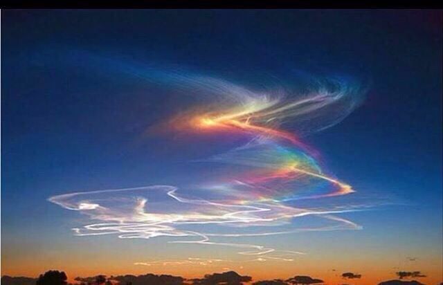 notícia Palavra de hoje por Ricardo Terada