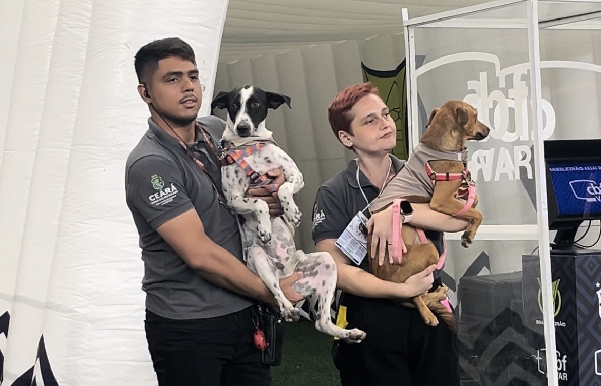 notícia Arena Castelão recebe campanha para incentivar adoção responsável de cães