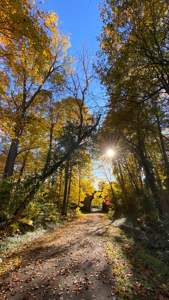 notícia PALAVRA DE HOJE - PLANOS DE DEUS