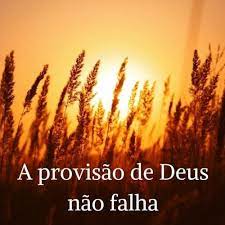 notícia PALAVRA DE HOJE - PROVISÃO DE DEUS