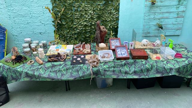 notícia Escolas Brasileiras Intensificam Compromisso com o Meio Ambiente por meio de Projeto de Conscientização das Crianças