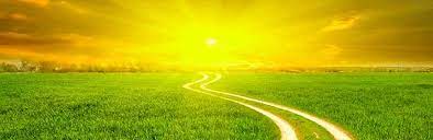 notícia PALAVRA DE HOJE - EM BUSCA DE VERDADE