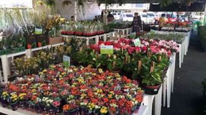 notícia Este final de semana, o Mercadão da Bahia traz festival de flores, stand up comedy, ofertas especiais da Black Week e atividades Free Play para o público