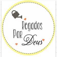 notícia PALAVRA DE HOJE - REGADOS POR DEUS