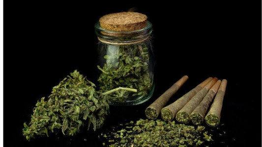 notícia O Que é Blunt: Do que é Feito, Como Bolar e Qual a Melhor?