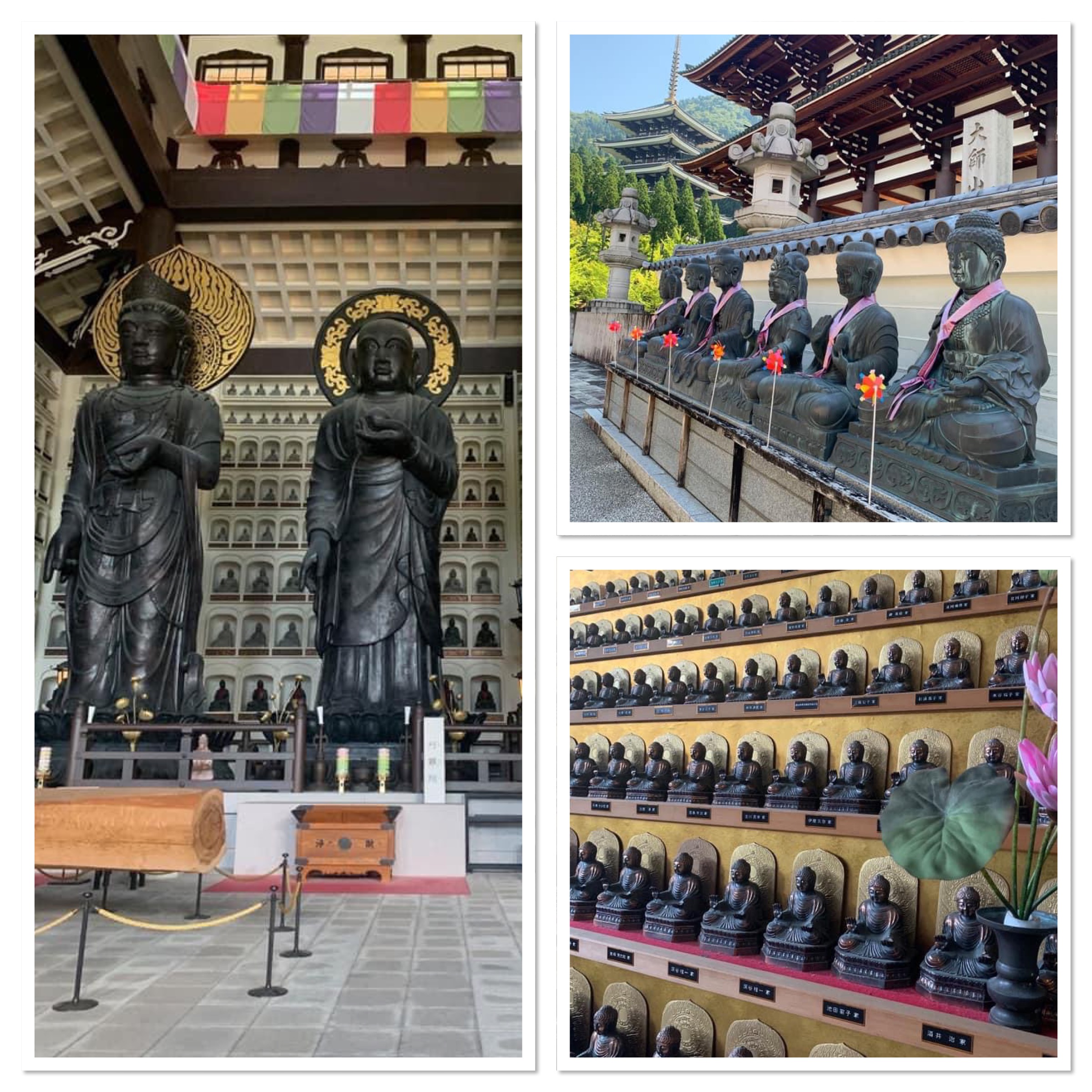 notícia Echizen Daibutsu, história de gratidão e insucesso turístico