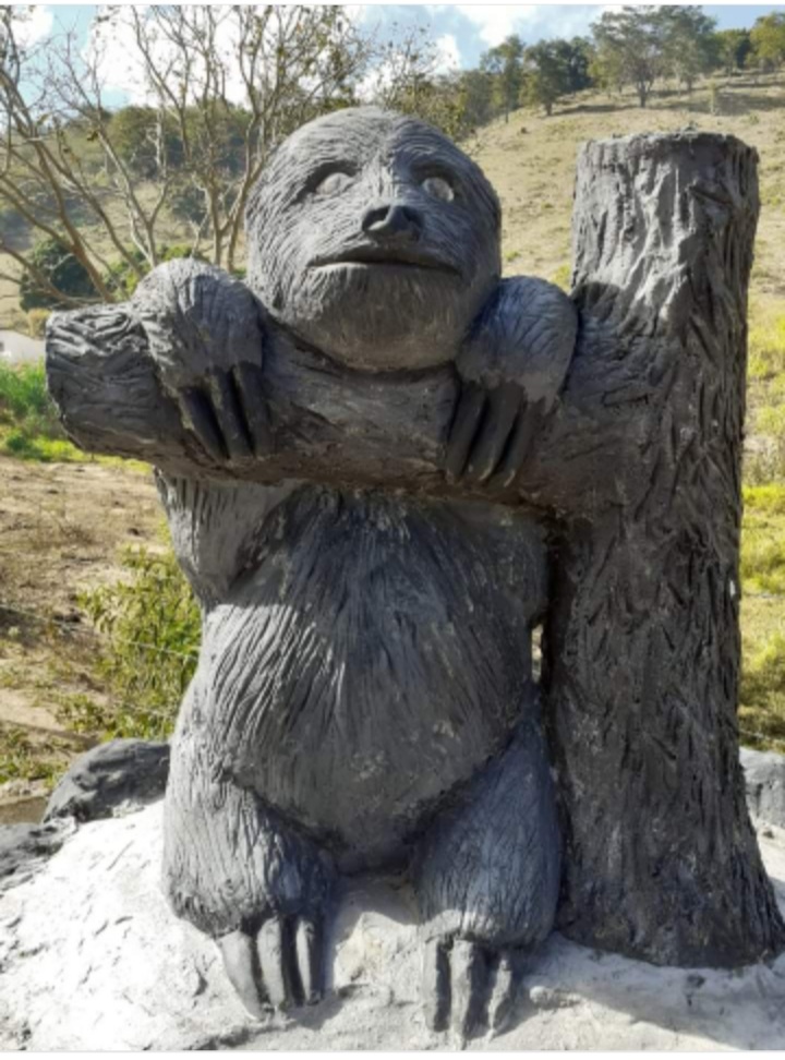 notícia Bina organiza a Corrida e Caminhada da Preguiça Gigante em Poté, MG.