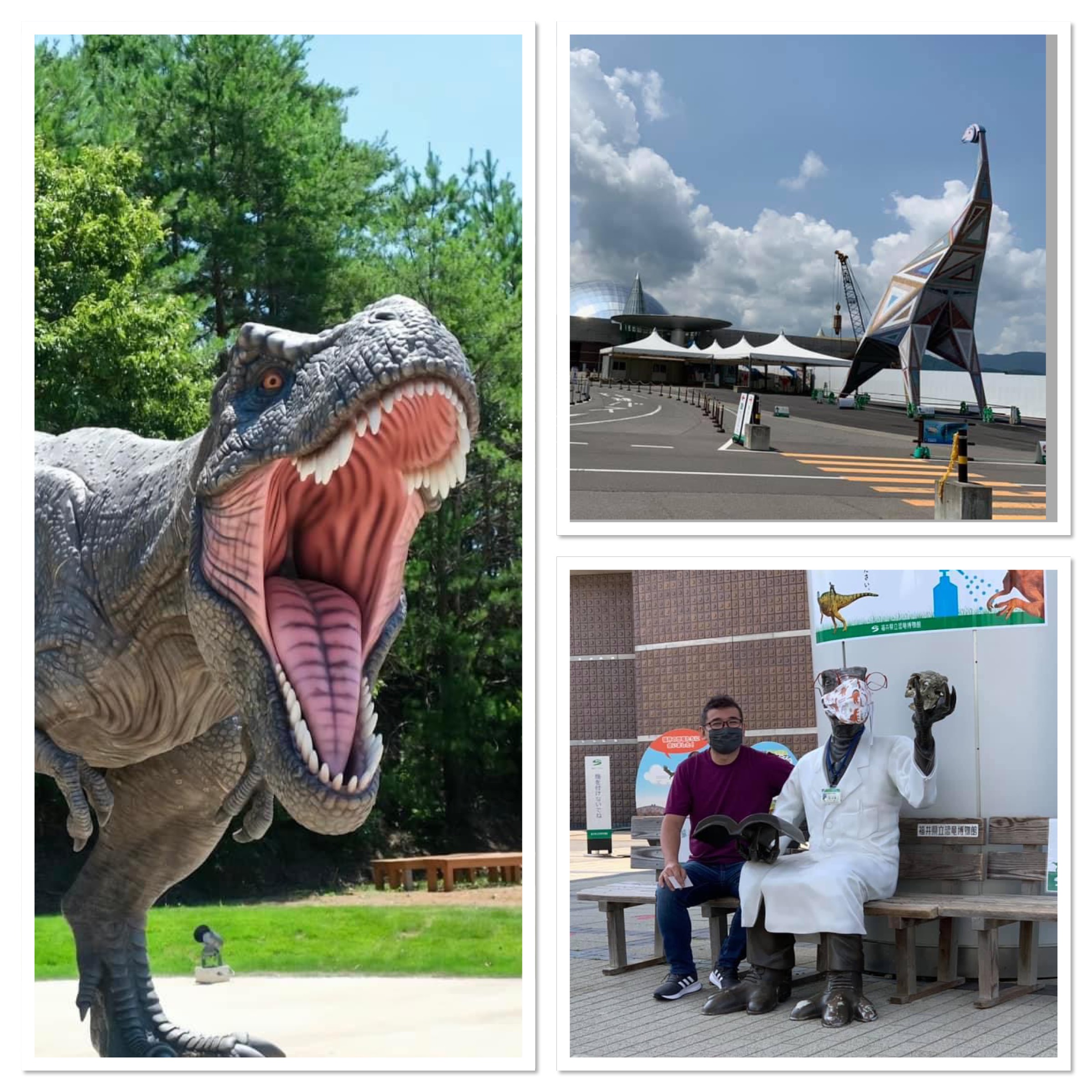 notícia Museu dos Dinossauros de Katsuyama