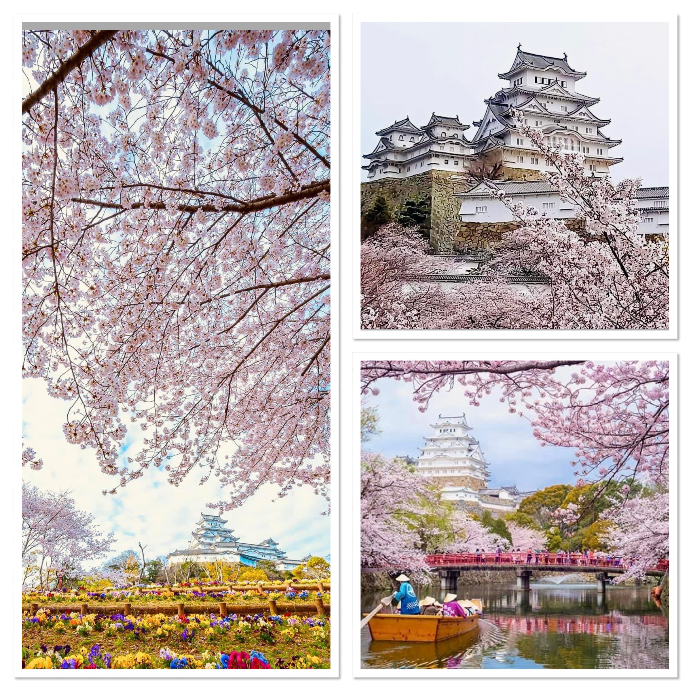 notícia Castelo de Himeji