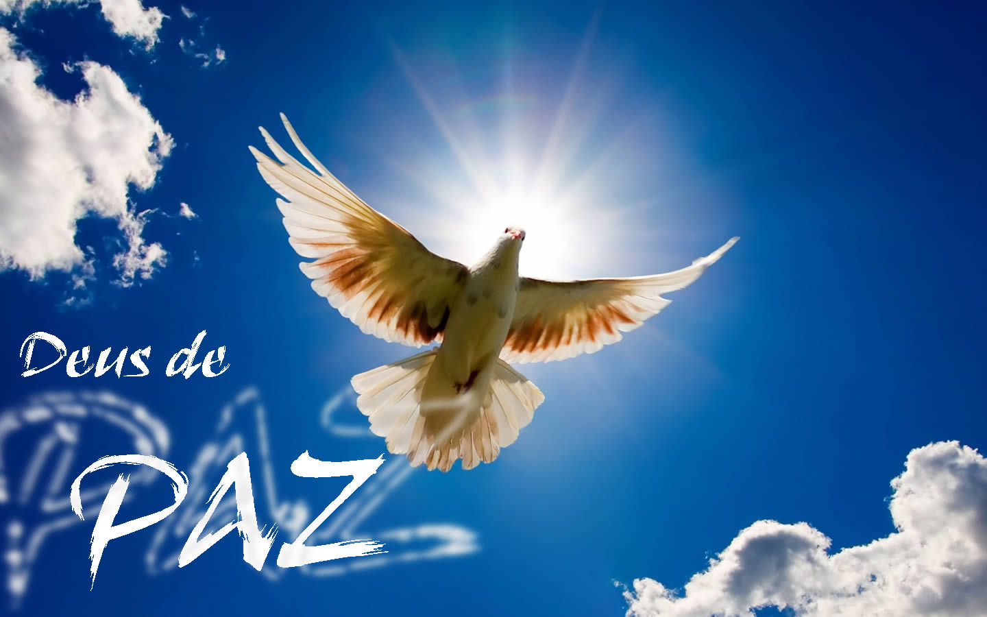 notícia PALAVRA DE HOJE - PAZ DE DEUS